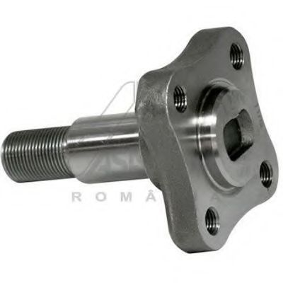 30247 ASAM Ось барабана зад. LB03