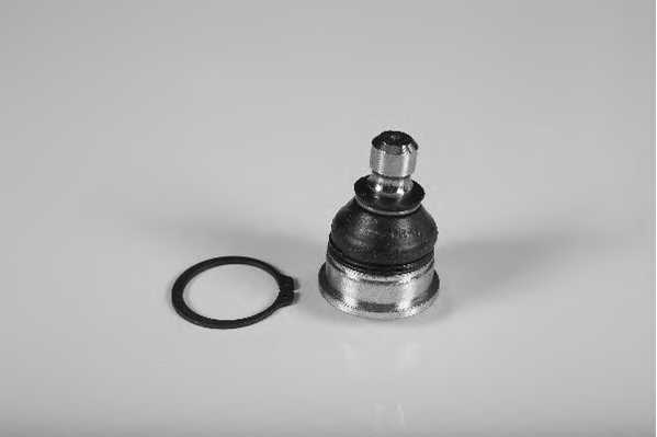 SZBJ5080 MOOG Sworzen  wahacza  przod  L/P  (dol  przod)  (srednica  stozka  16,5mm)  OPEL  AGILA    SUZUKI  SPLASH,  SWIFT  III  1.0-1.6  02.05-